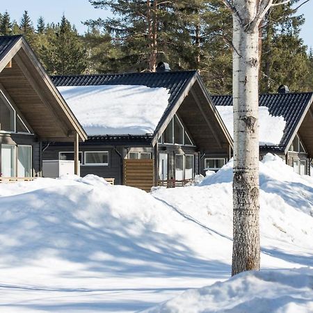 Jockfall Fishing And Activities - Oeverkalix Exterior foto